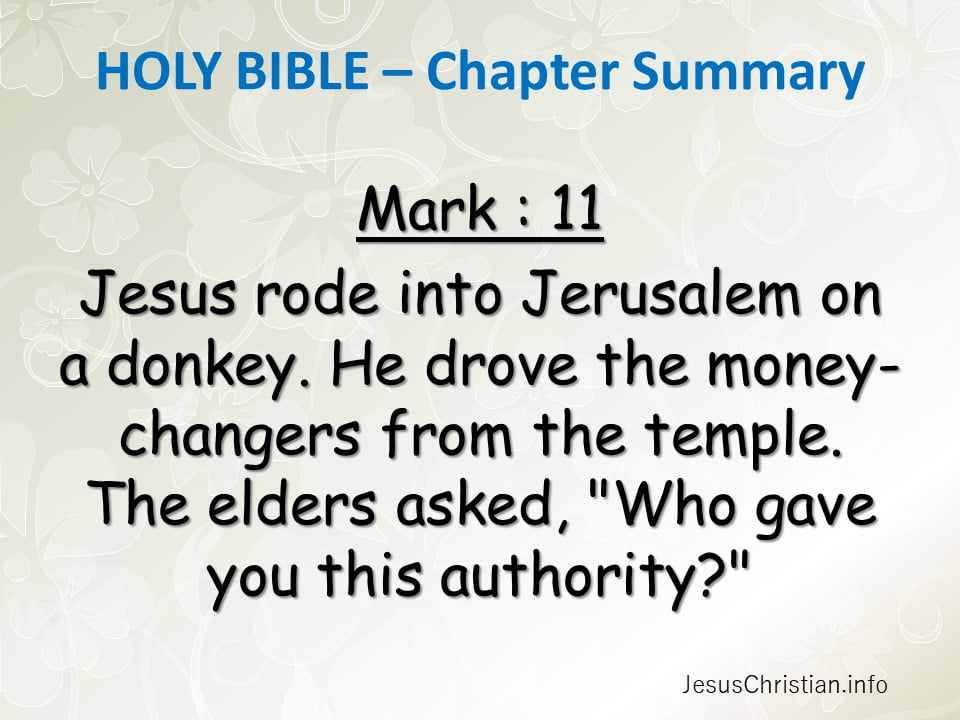 Jesus rode into Jerusalem on a donkey. He drove the money-changers from the temple. The elders asked, "Who gave you this authority?"